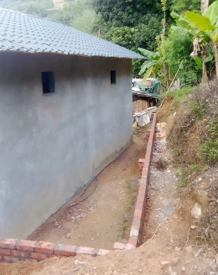 Image 15