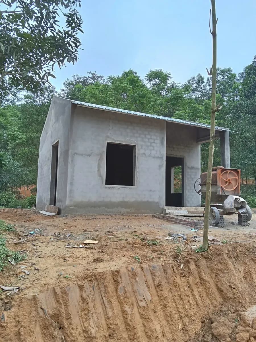 Image 11