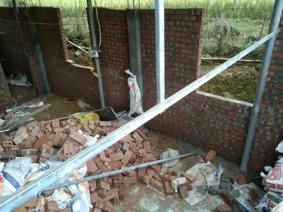 Image 12