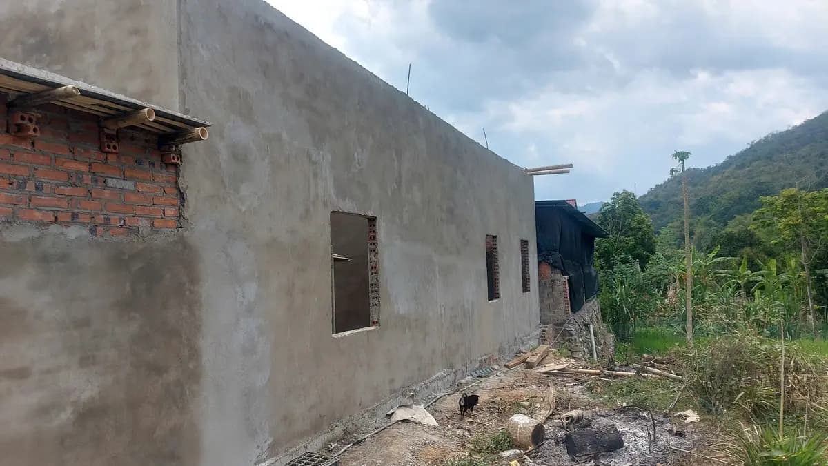 Image 31