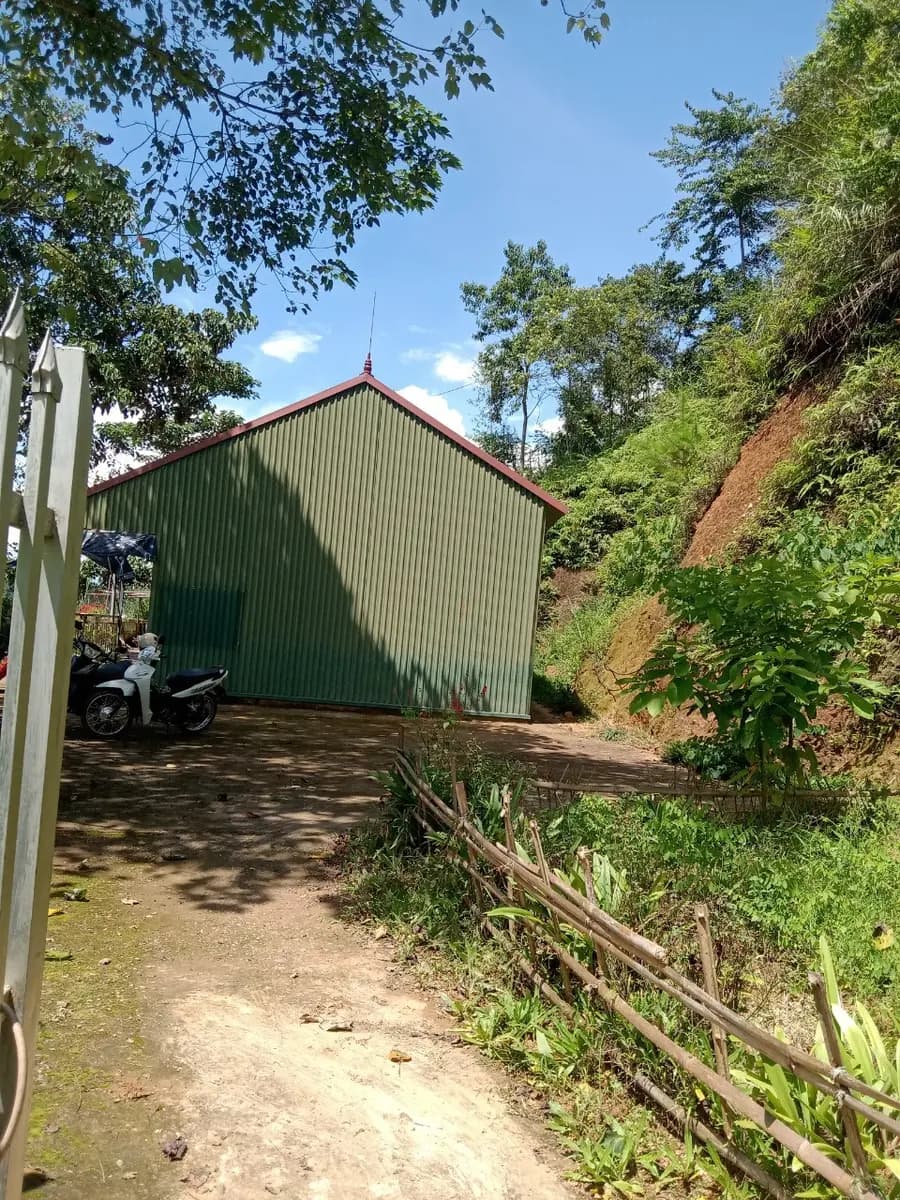 Image 4