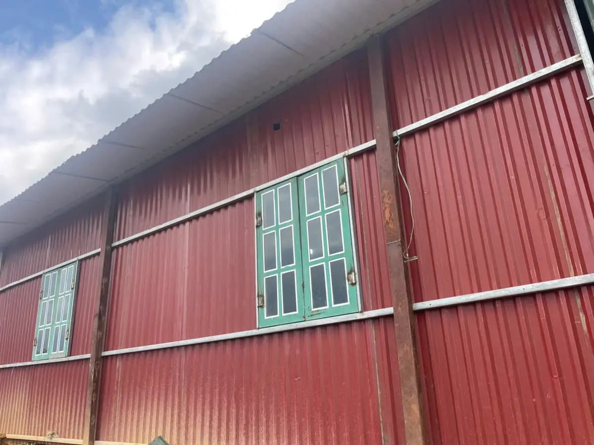 Image 6