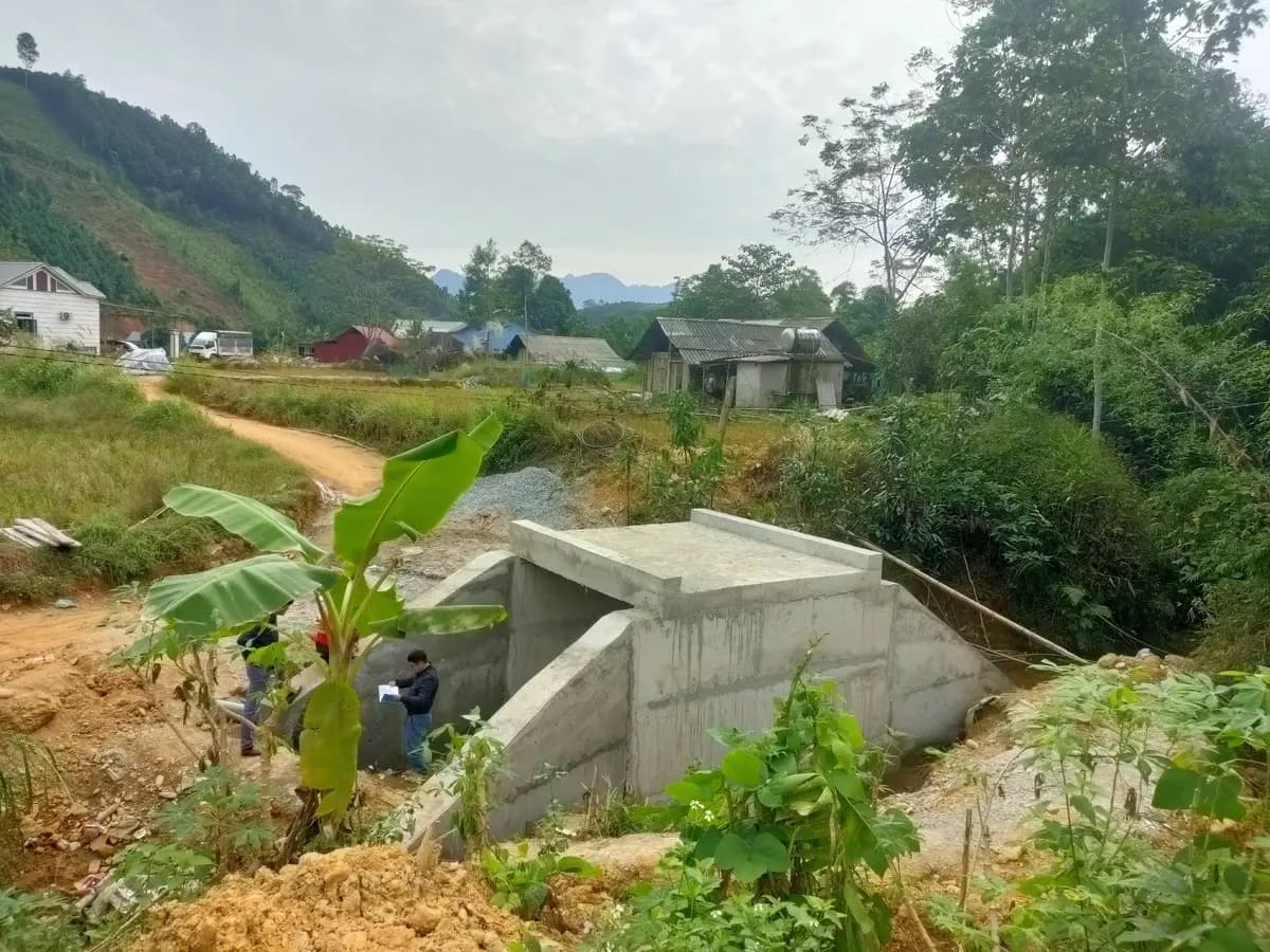 Image 14