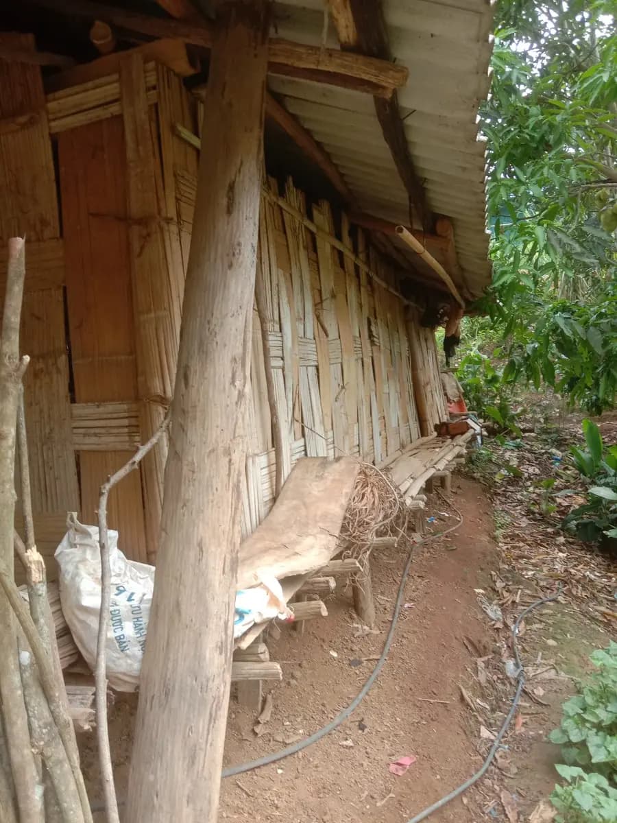 Image 13