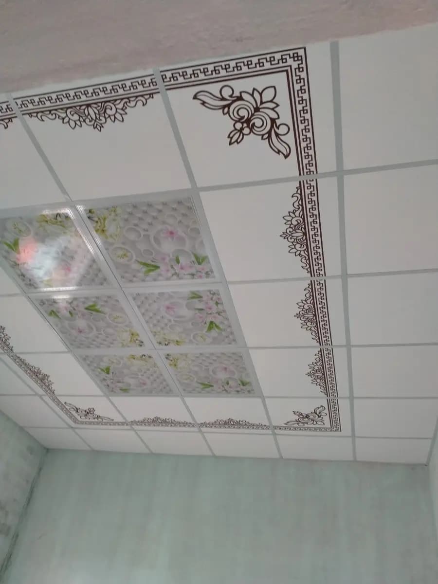 Image 11