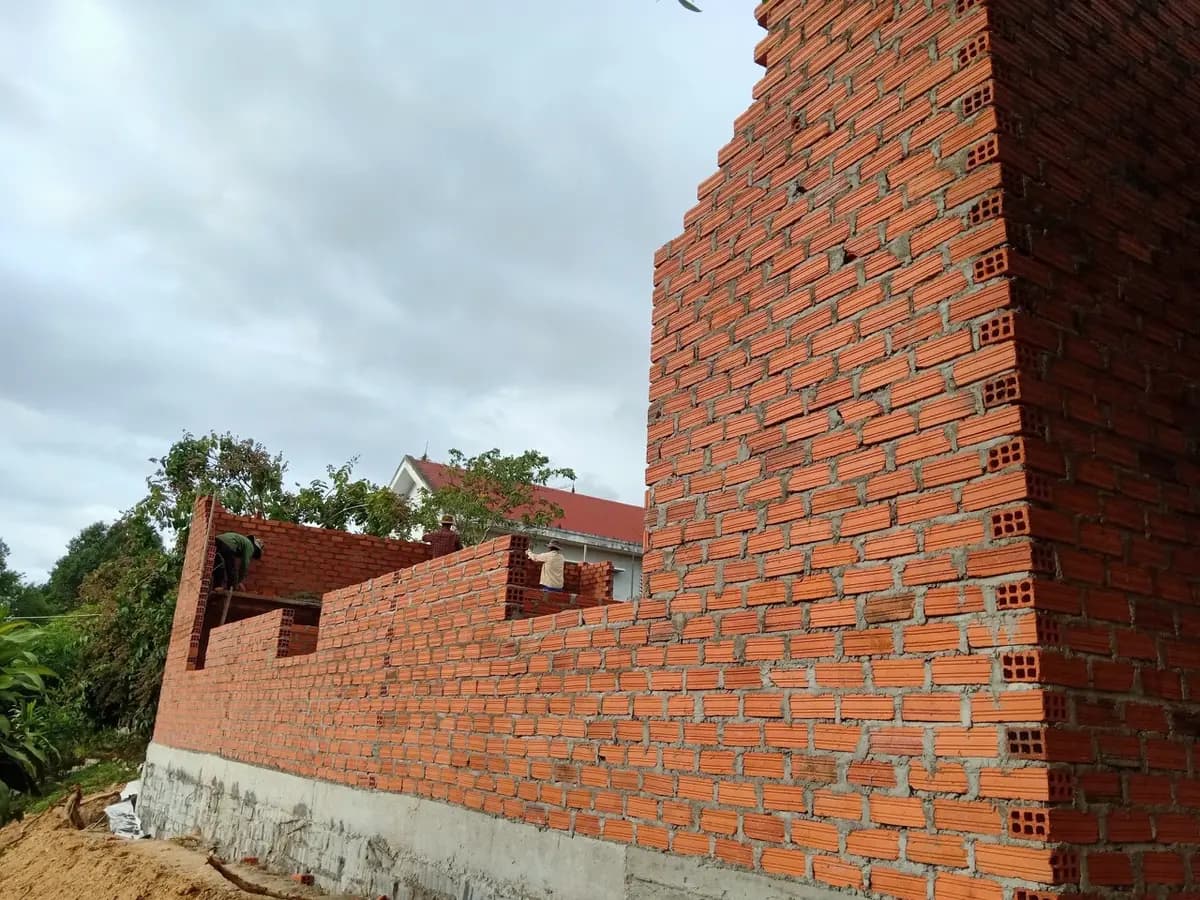 Image 14