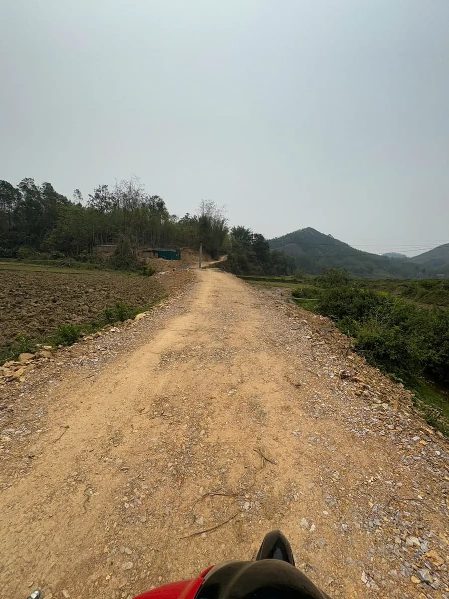 Image 15