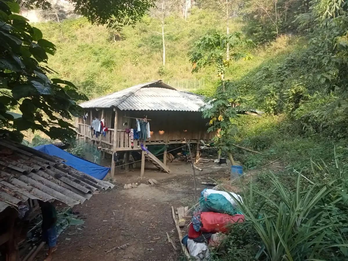 Image 5