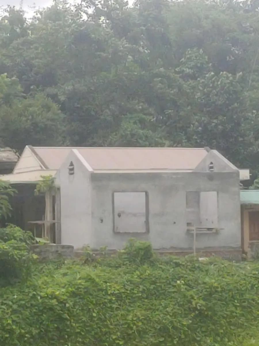 Image 20