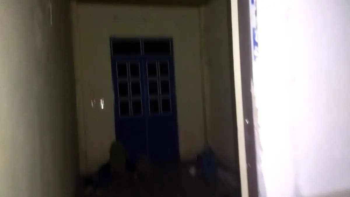 Image 15