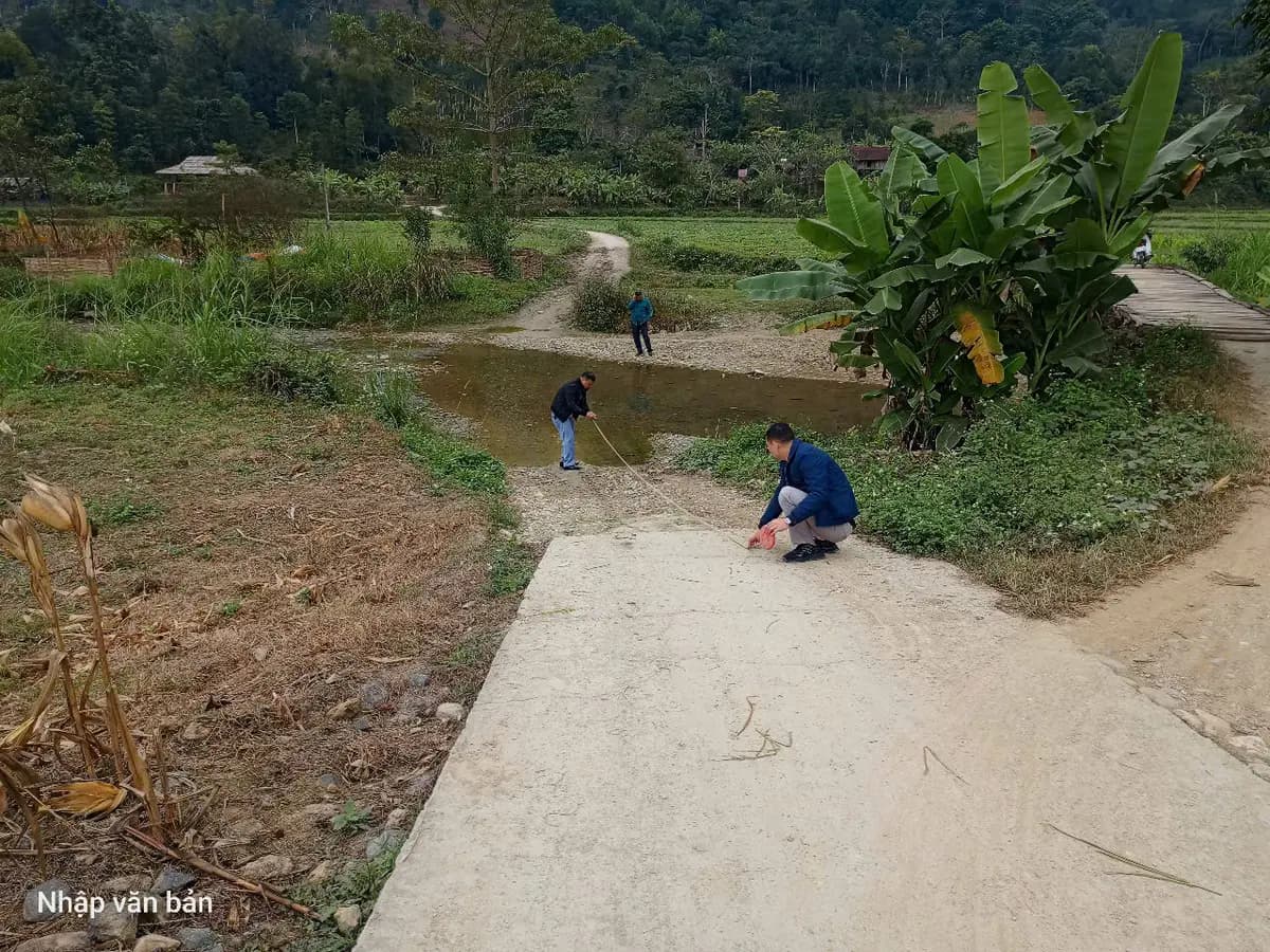 Image 15