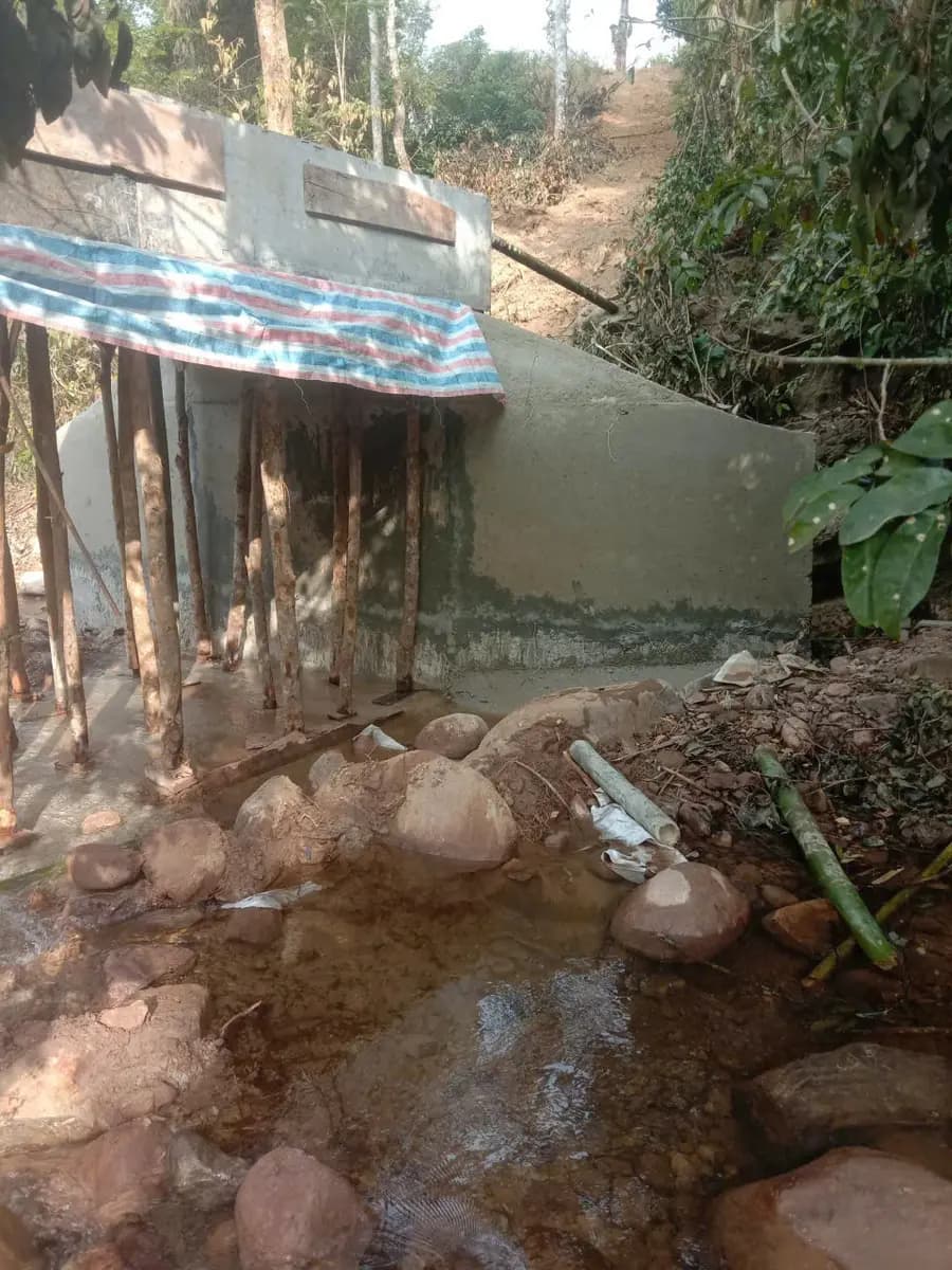 Image 12