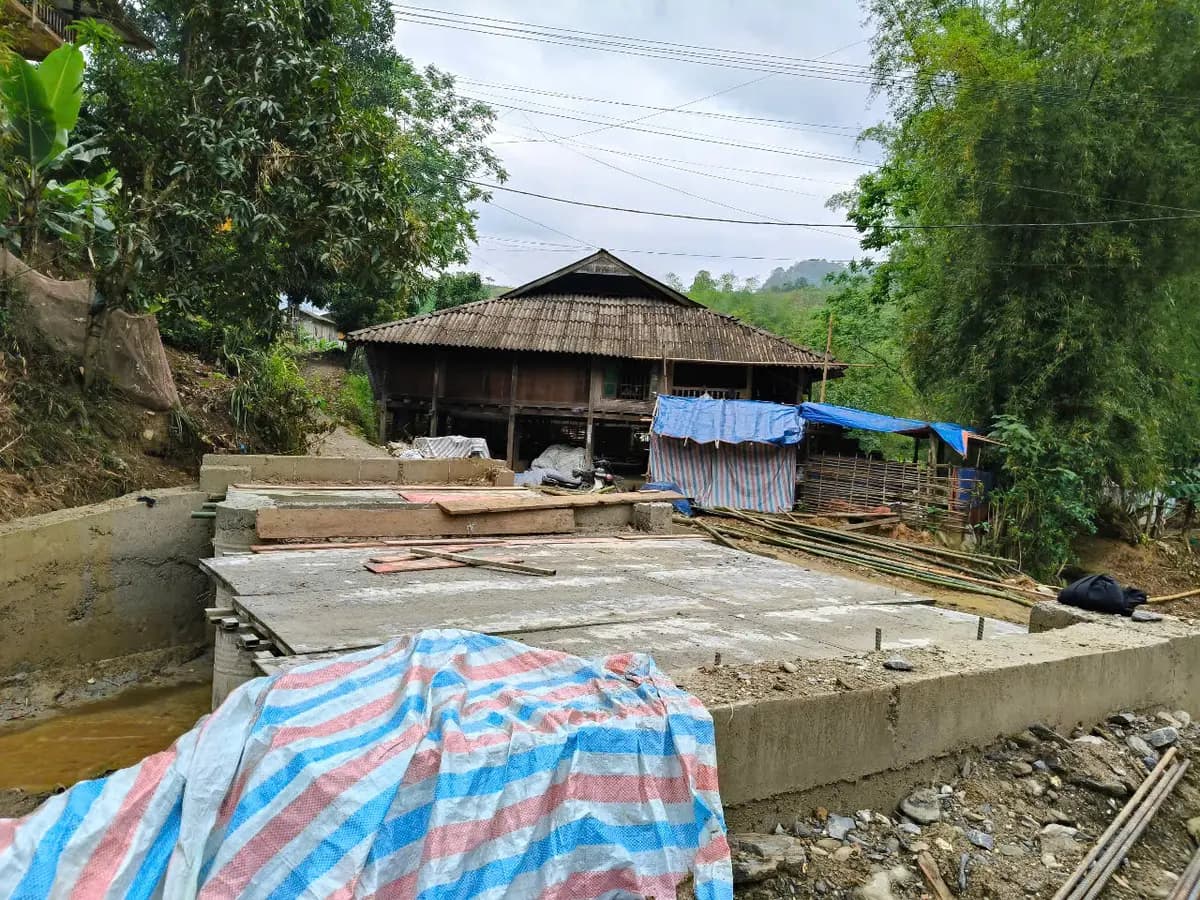 Image 11