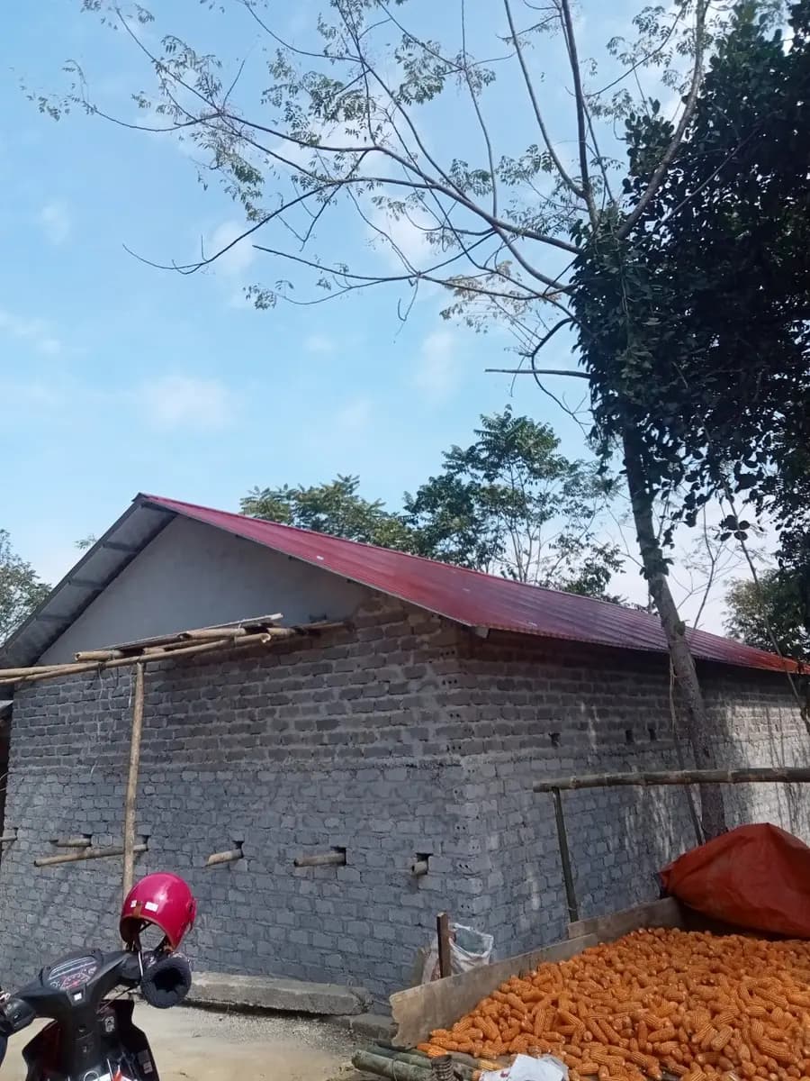 Image 6