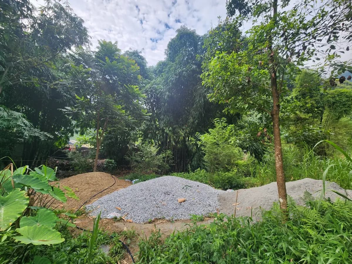 Image 15