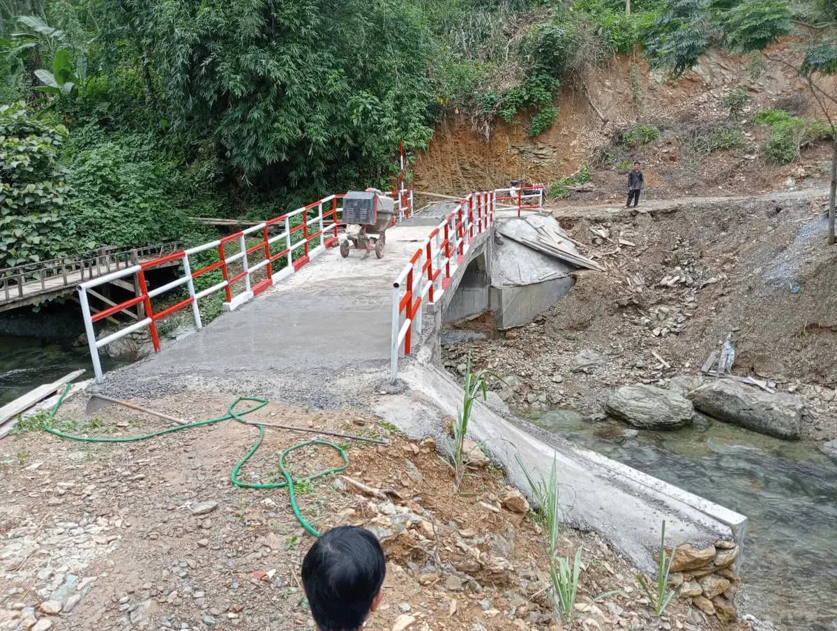 Image 12