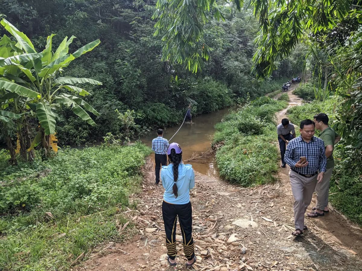 Image 12