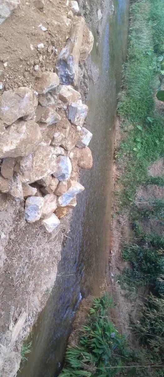 Image 63