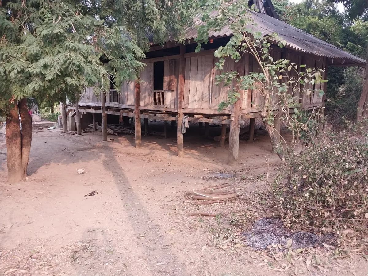 Image 4