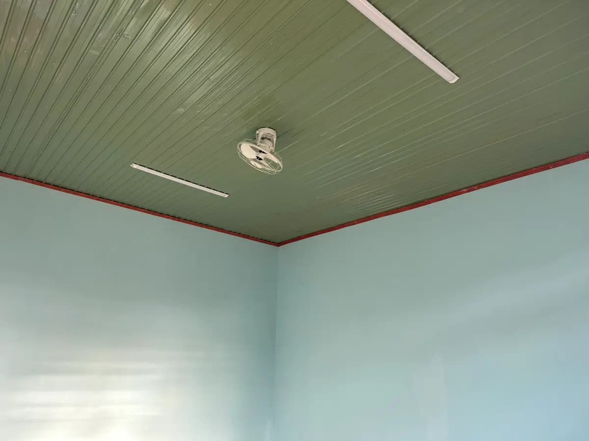 Image 11