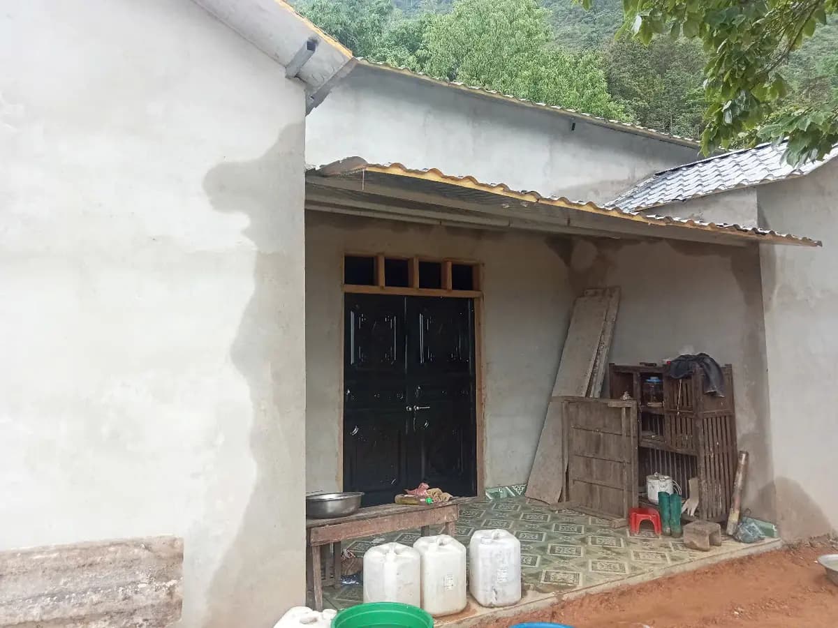 Image 12