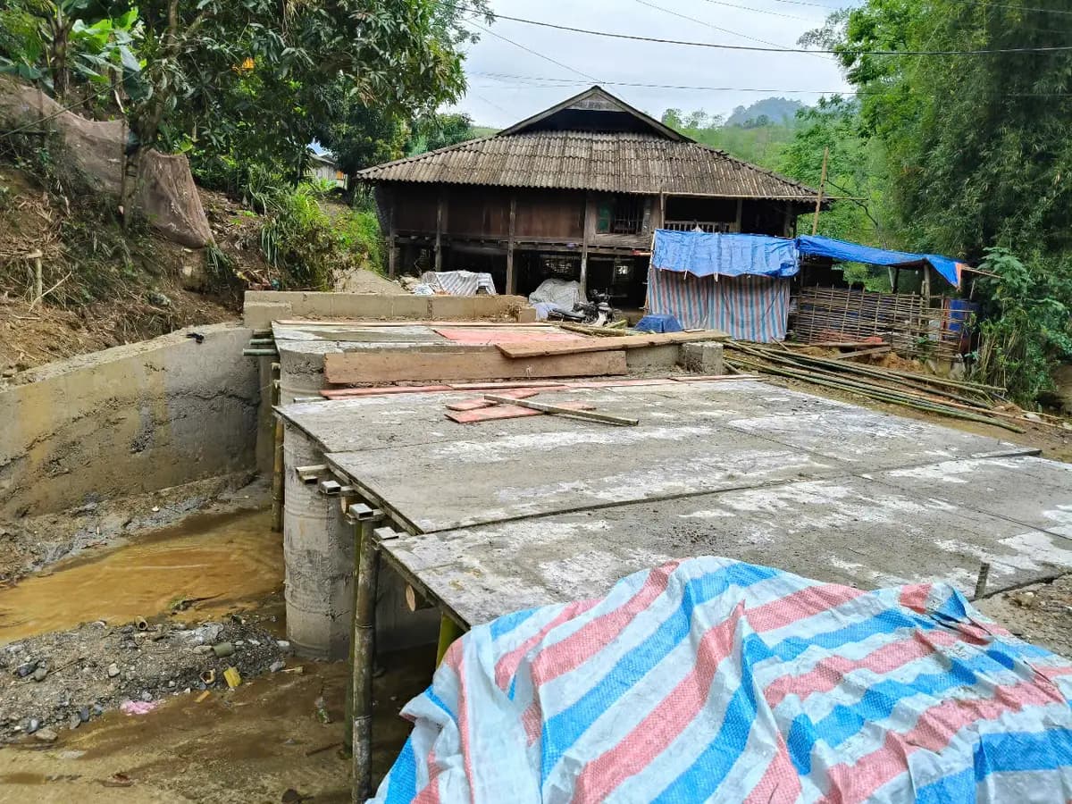 Image 10