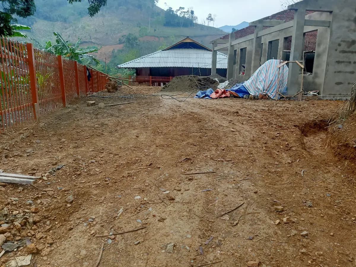 Image 19