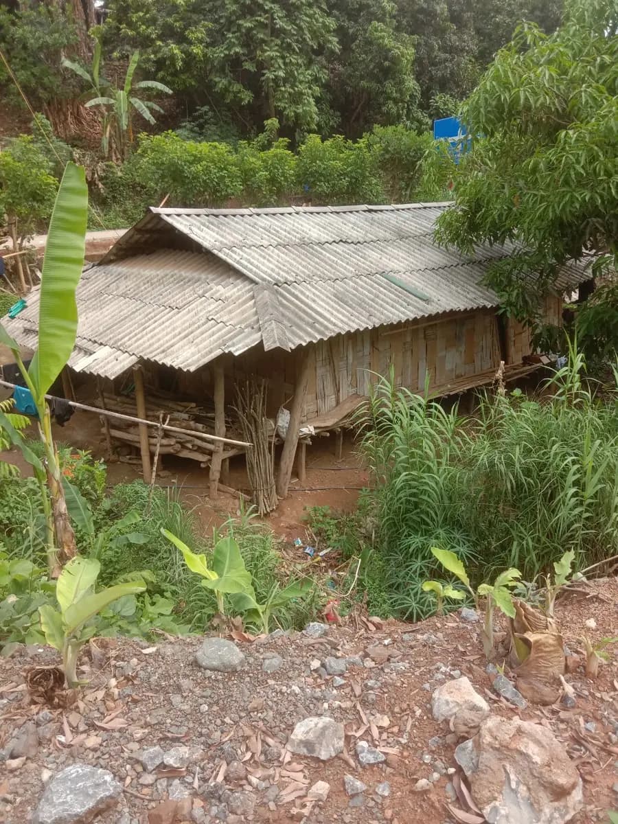 Image 12