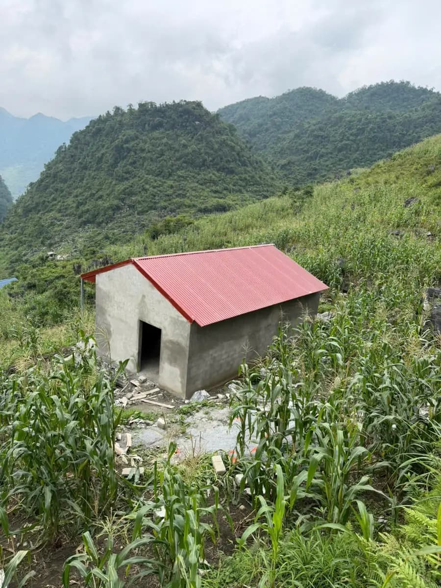 DA0882 - NHP278 - Ly Thị Mai - Thôn Cờ Cải - xã Đường Thượng - Tỉnh Tuyên Quang